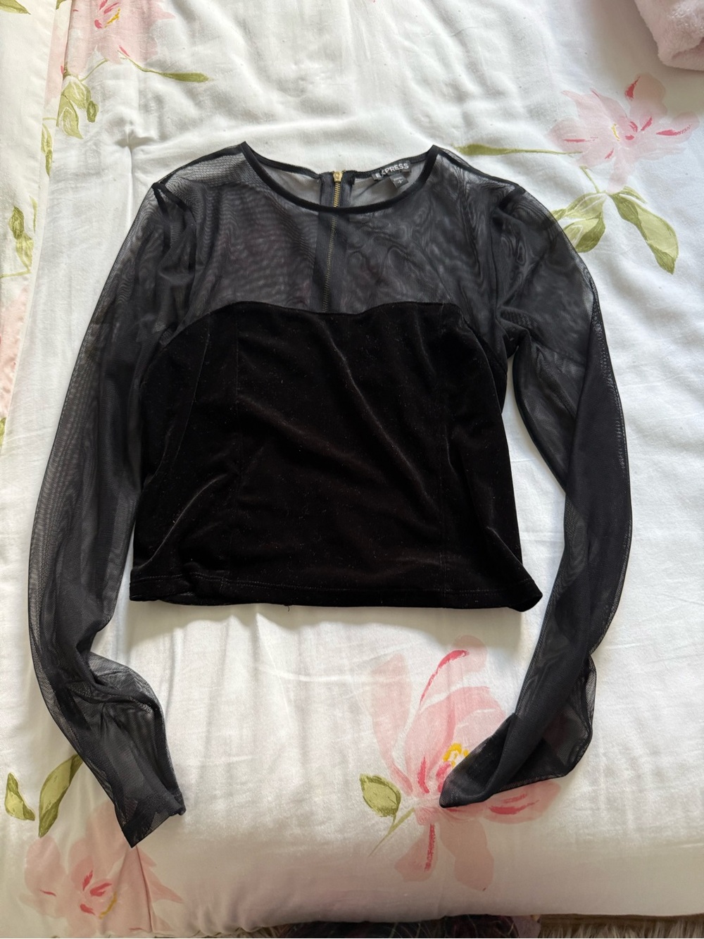 Express Black Velvet Bodice Sheer Mesh Long-Sleeve Top